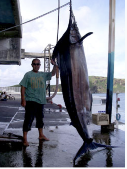 釣り好き必見 日本最西端の与那国島で開催 国際カジキ釣り大会 リトタビ 離島を旅する